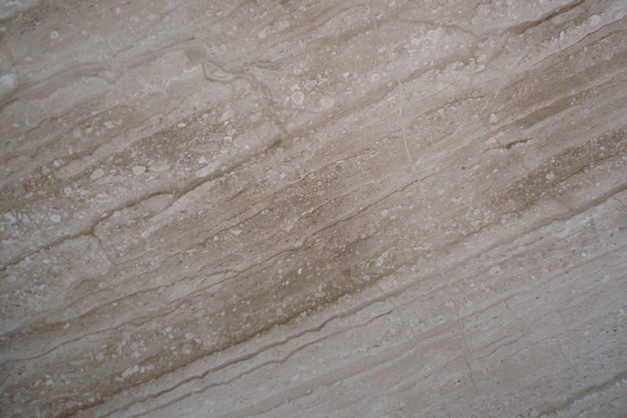 Dino Beige 