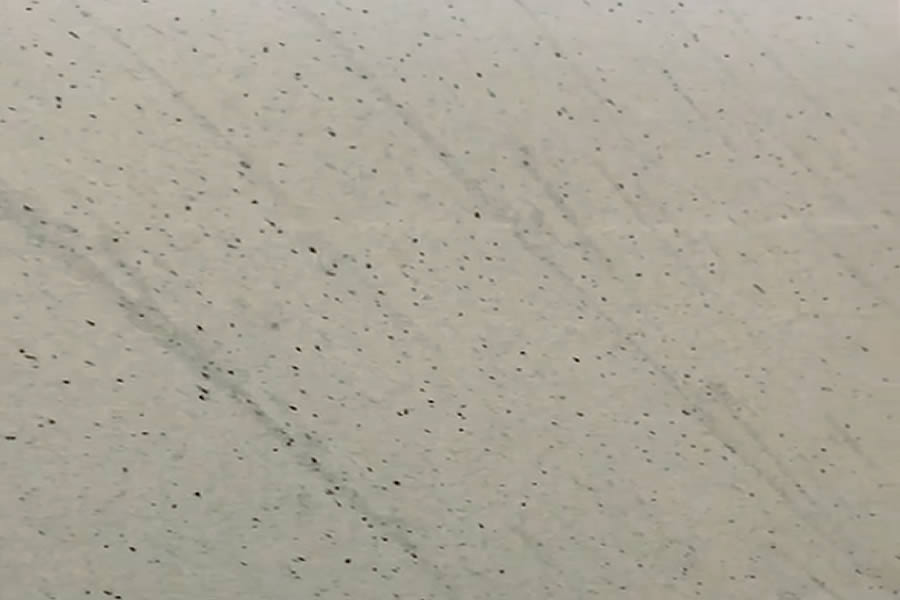 White San Paulo